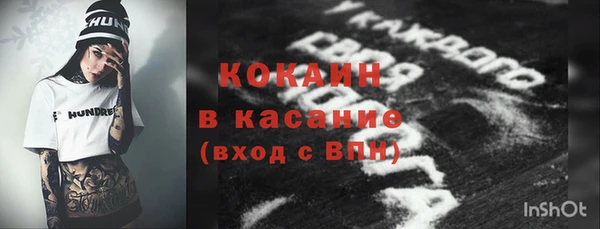 крисы Горнозаводск