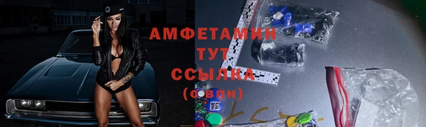 ГАЛЛЮЦИНОГЕННЫЕ ГРИБЫ Горняк