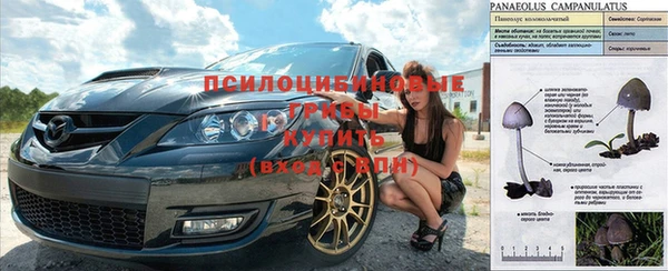 крисы Горнозаводск