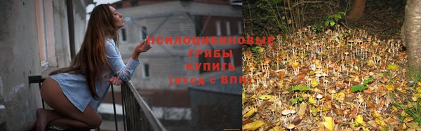 крисы Горнозаводск