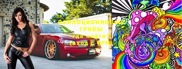 apvp Горно-Алтайск