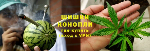 ГАЛЛЮЦИНОГЕННЫЕ ГРИБЫ Горняк
