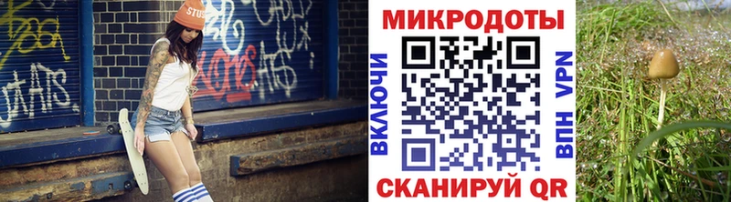 магазин продажи   Игарка  Галлюциногенные грибы Cubensis 